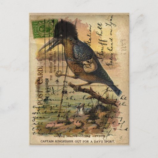 Briefkaart Kingfisher (Voorkant)