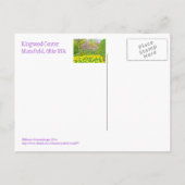 BRIEFKAART, "KINGWOOD CENTRE GARDENS" BRIEFKAART (Achterkant)