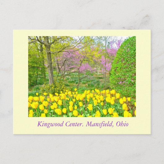 BRIEFKAART, "KINGWOOD CENTRE GARDENS" BRIEFKAART (Voorkant)