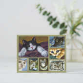 Briefkaart Kittens (Staand voorkant)