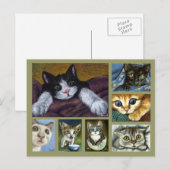 Briefkaart Kittens (Voorkant / Achterkant)
