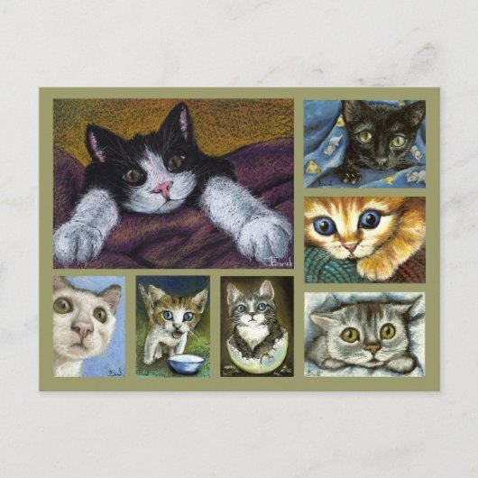 Briefkaart Kittens (Voorkant)