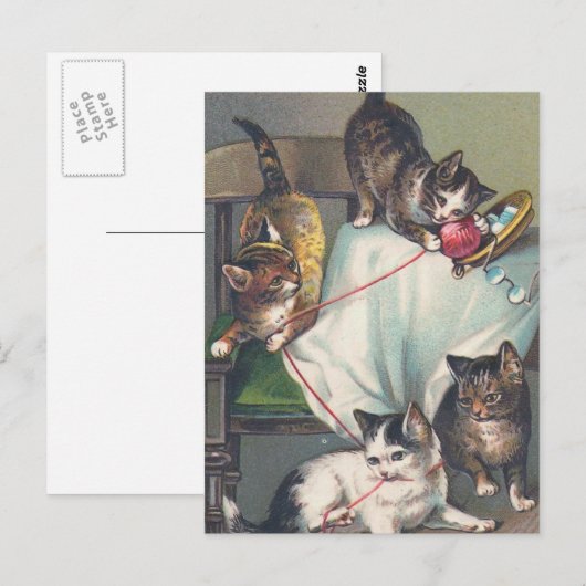 briefkaart "Kittens spelen met breekwol" (Voorkant / Achterkant)