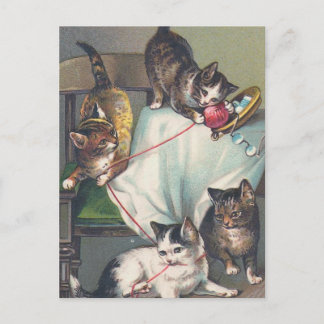 briefkaart "Kittens spelen met breekwol"