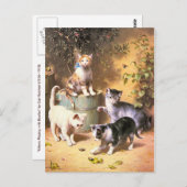 Briefkaart: "Kittens spelen met kevers" Briefkaart (Voorkant / Achterkant)