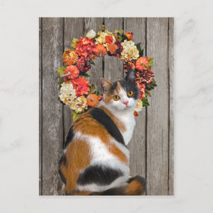 briefkaart "Kittles"