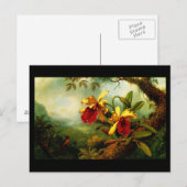 Briefkaart-Klassieke/-Martin Johnson Heade 11 Briefkaart (Voorkant / Achterkant)