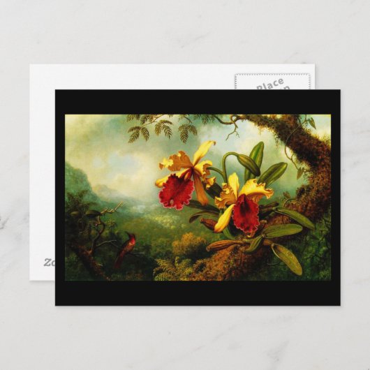 Briefkaart-Klassieke/-Martin Johnson Heade 11 Briefkaart (Voorkant / Achterkant)