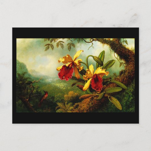 Briefkaart-Klassieke/-Martin Johnson Heade 11 Briefkaart (Voorkant)