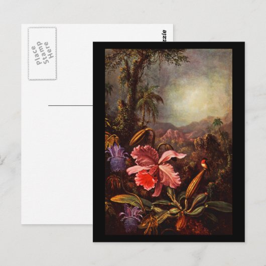 Briefkaart-Klassieke/-Martin Johnson Heade 15 Briefkaart (Voorkant / Achterkant)