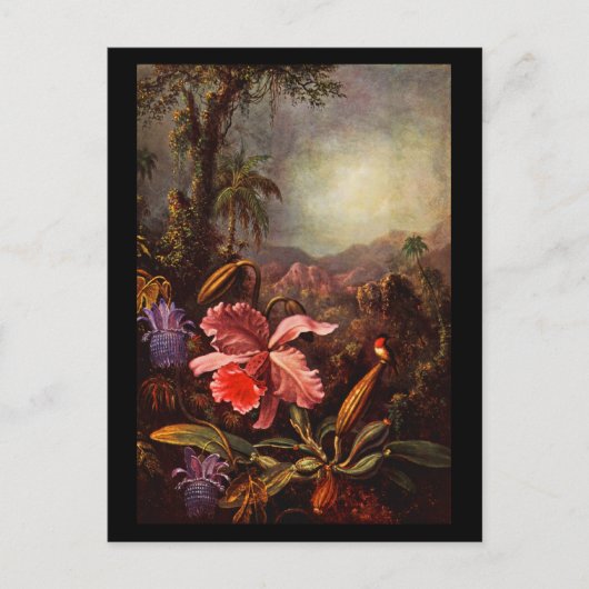 Briefkaart-Klassieke/-Martin Johnson Heade 15 Briefkaart (Voorkant)