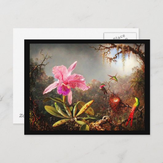 Briefkaart-Klassieke/-Martin Johnson Heade 29 Briefkaart (Voorkant / Achterkant)