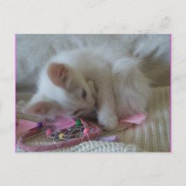Briefkaart klein meisje Kat #2