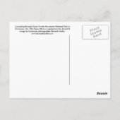 Briefkaart - Kleine Pigeon River, Grote Smoky Mtns (Achterkant)