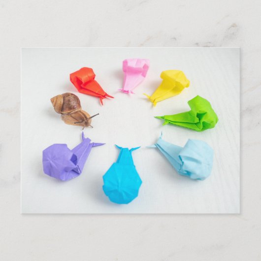 Briefkaart kleurrijke slakken (Voorkant)