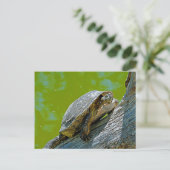 Briefkaart klimschildpad (Staand voorkant)
