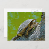 Briefkaart klimschildpad (Voorkant / Achterkant)