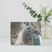 Briefkaart Koala QLD Australië (Staand voorkant)