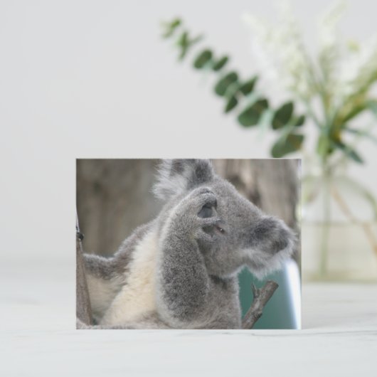Briefkaart Koala QLD Australië (Staand voorkant)