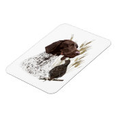 Briefkaart Koffie van het Duitse Shorthaired Point Magneet (Linkerzijde)