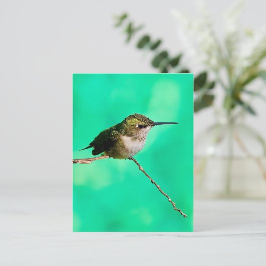 briefkaart kolibrie (Staand voorkant)