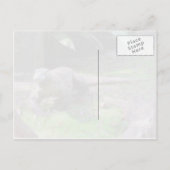 Briefkaart Komodo Dragon (Achterkant)