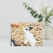 Briefkaart konijn (Staand voorkant)