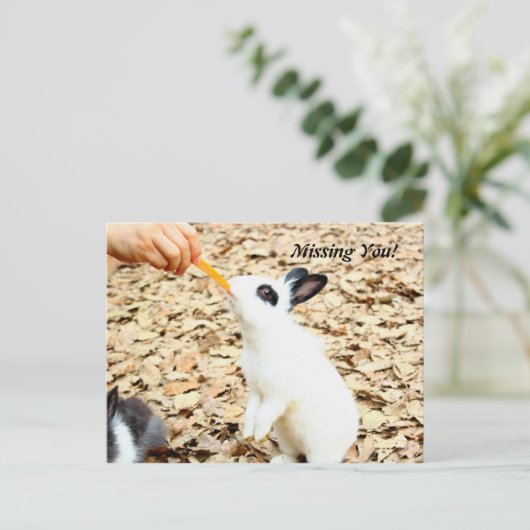 Briefkaart konijn (Staand voorkant)