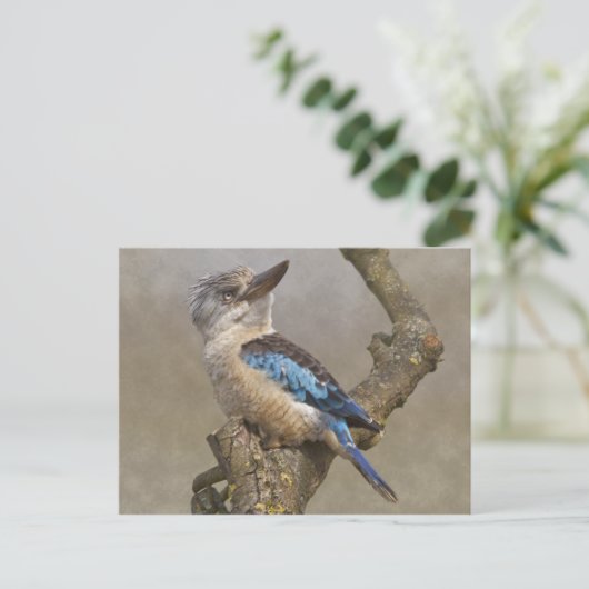Briefkaart Kookaburra (Staand voorkant)