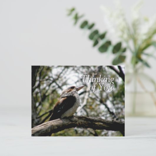 Briefkaart Kookaburra Thoughts (Staand voorkant)