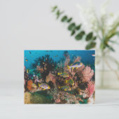 Briefkaart koraalrif (Staand voorkant)