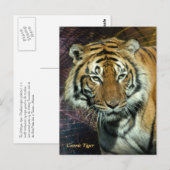 Briefkaart: Kosmische Tijger (Portrait) Briefkaart (Voorkant / Achterkant)