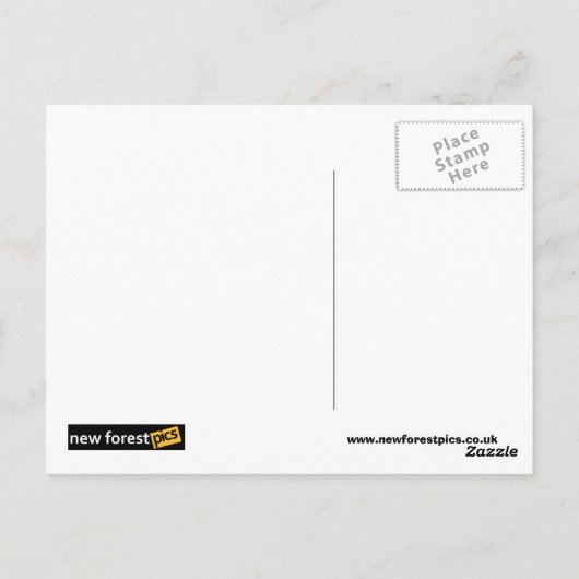 briefkaart "krassen van varkensvlees" (Achterkant)