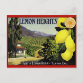 Briefkaart  Kratellabel (Voorkant)