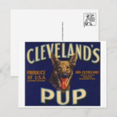 Briefkaart  Kratellabel (Voorkant / Achterkant)