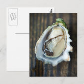 Briefkaart Kumamoto Oyster (Voorkant / Achterkant)