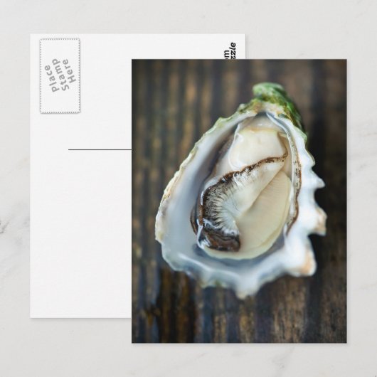 Briefkaart Kumamoto Oyster (Voorkant / Achterkant)