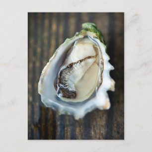 Briefkaart Kumamoto Oyster