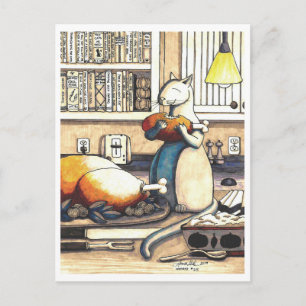 Briefkaart: Kunststoffen in de keuken Briefkaart