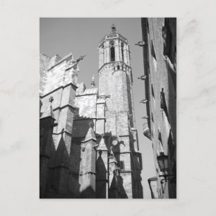Briefkaart La Catedral Gargoyles (Barcelona, Spanj