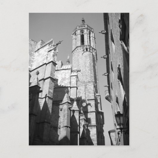 Briefkaart La Catedral Gargoyles (Barcelona, Spanj (Voorkant)