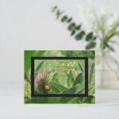 Briefkaart Ladybug Poem (Staand voorkant)