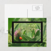 Briefkaart Ladybug Poem (Voorkant / Achterkant)