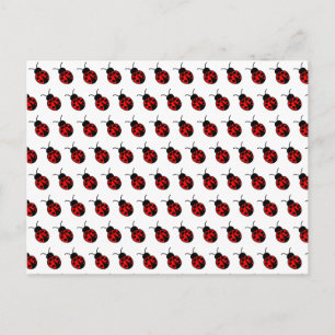  Briefkaart Ladybugs