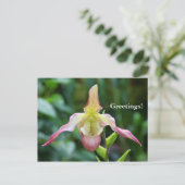 Briefkaart - Ladyslipper (Staand voorkant)