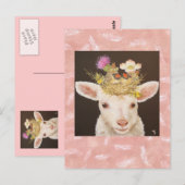 briefkaart lammeren (Voorkant / Achterkant)