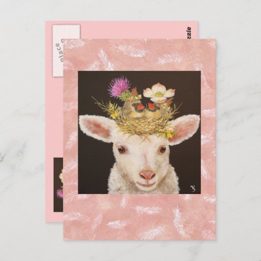 briefkaart lammeren (Voorkant / Achterkant)