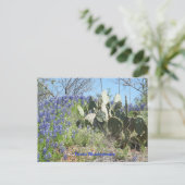 Briefkaart Land Texas Bluebonnets en Cactus (Staand voorkant)