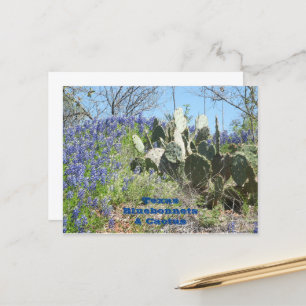 Briefkaart Land Texas Bluebonnets en Cactus