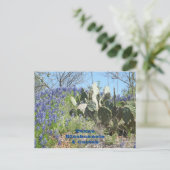 Briefkaart Land Texas Bluebonnets en Cactus (Staand voorkant)